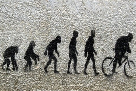 Evolucion gumana (11)