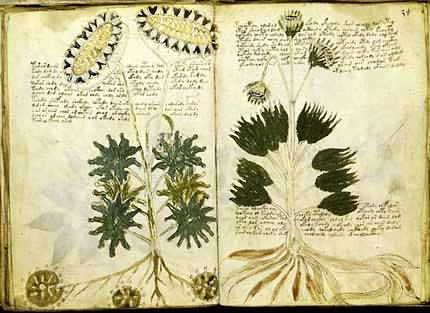 El Manuscrito Voynich:
