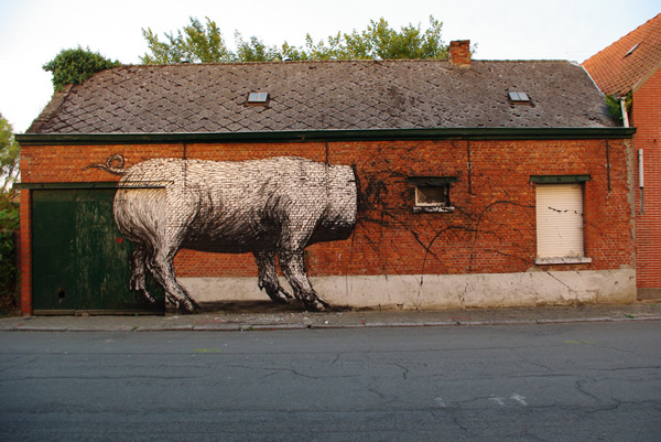 Graffiti Animales (6)