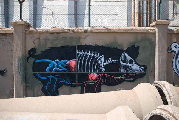 Graffiti Animales (11)