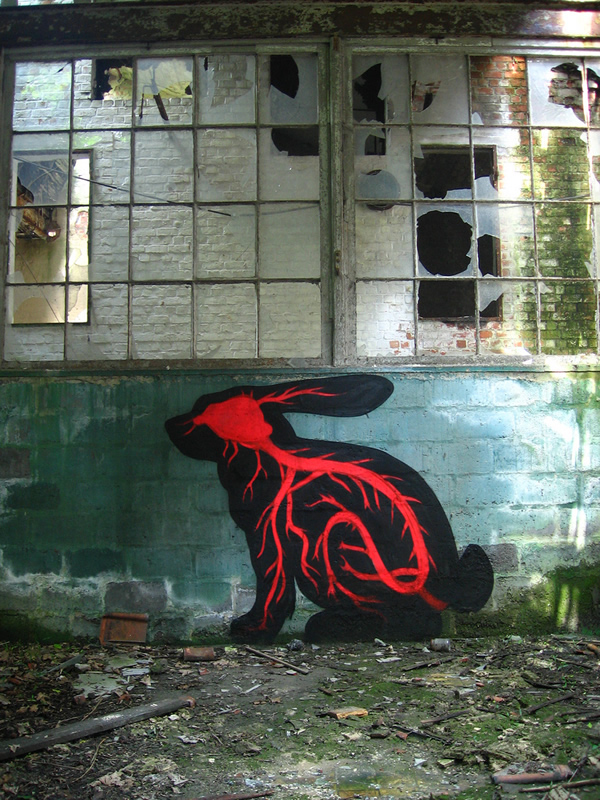 Graffiti Animales (19)