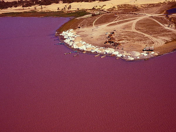 Lago rosa (4)