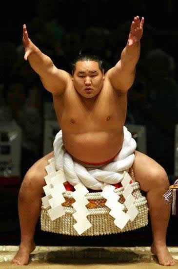 pela sumo japon (8)