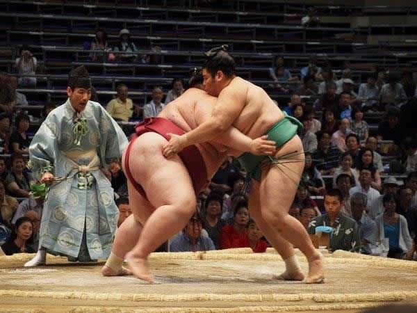 pela sumo japon (7)