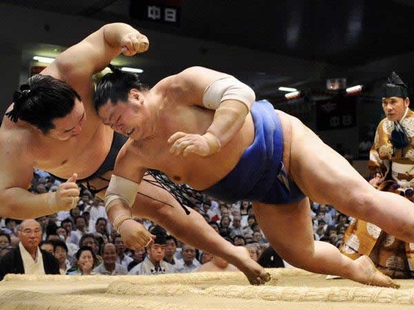 pela sumo japon (6)