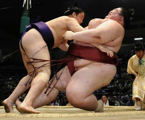 pela sumo japon (5)