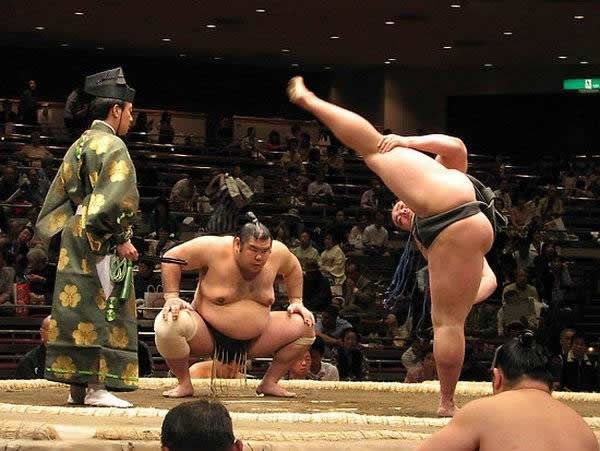 pela sumo japon (4)