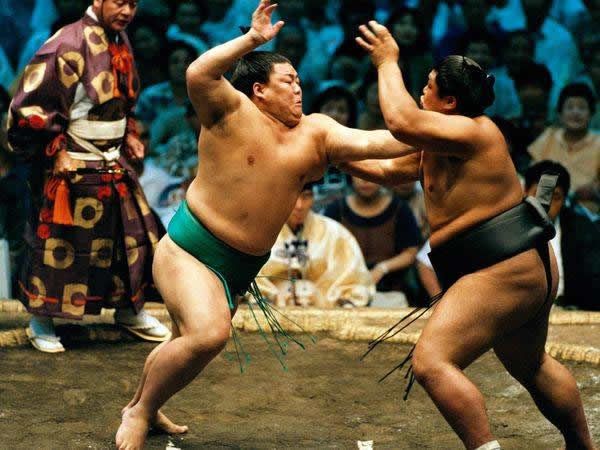 pela sumo japon (3)