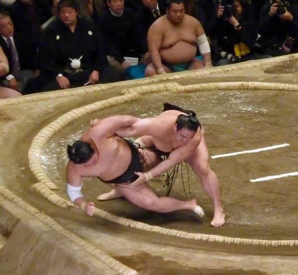pela sumo japon (1)