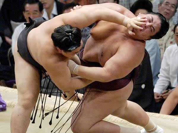 pela sumo japon (20)