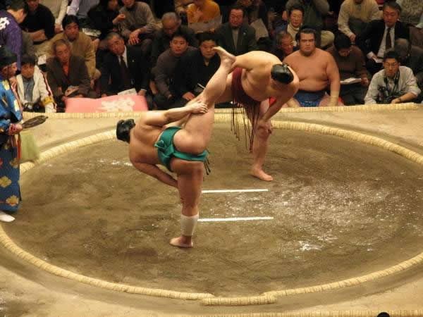 pela sumo japon (18)
