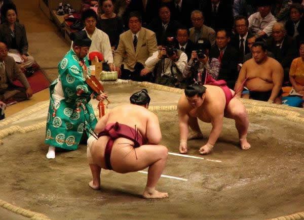 pela sumo japon (15)