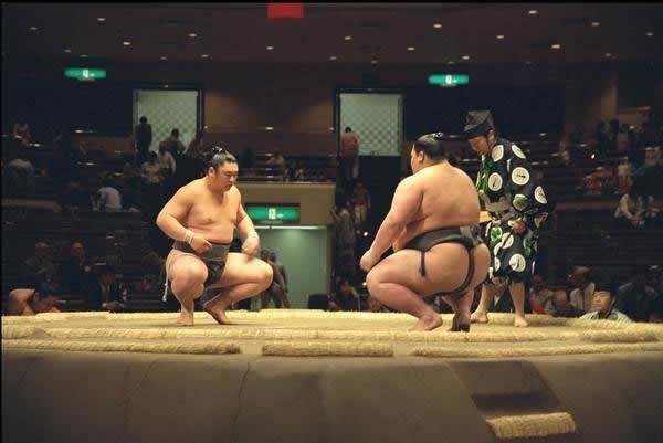 pela sumo japon (14)