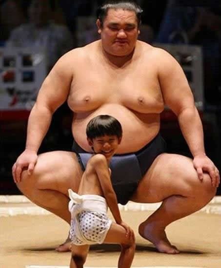 pela sumo japon (13)