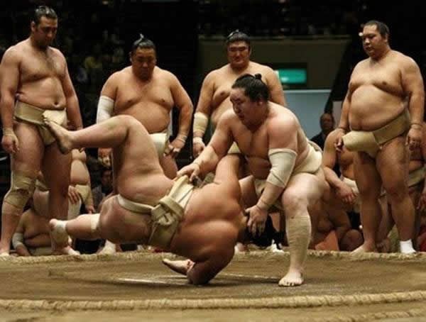 pela sumo japon (12)