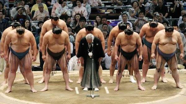pela sumo japon (10)