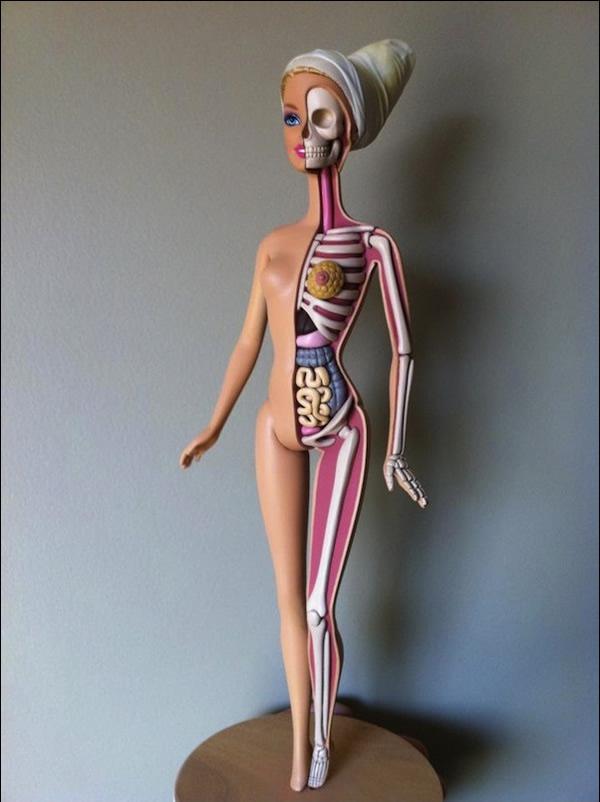 Anatomía de una Barbie (4)