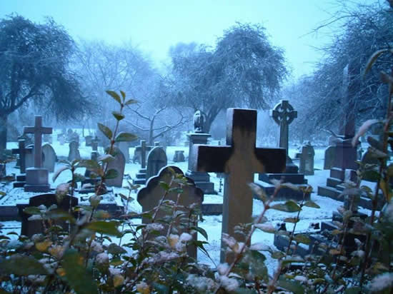 Cementerio Muerte
