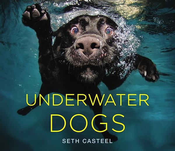 Underwater Dogs Seth Casteel (10)