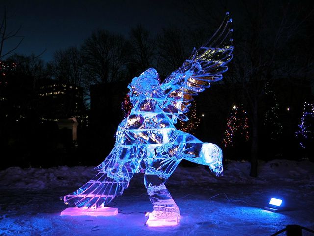 escultura hielo (13)