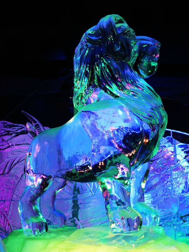 escultura hielo (9)