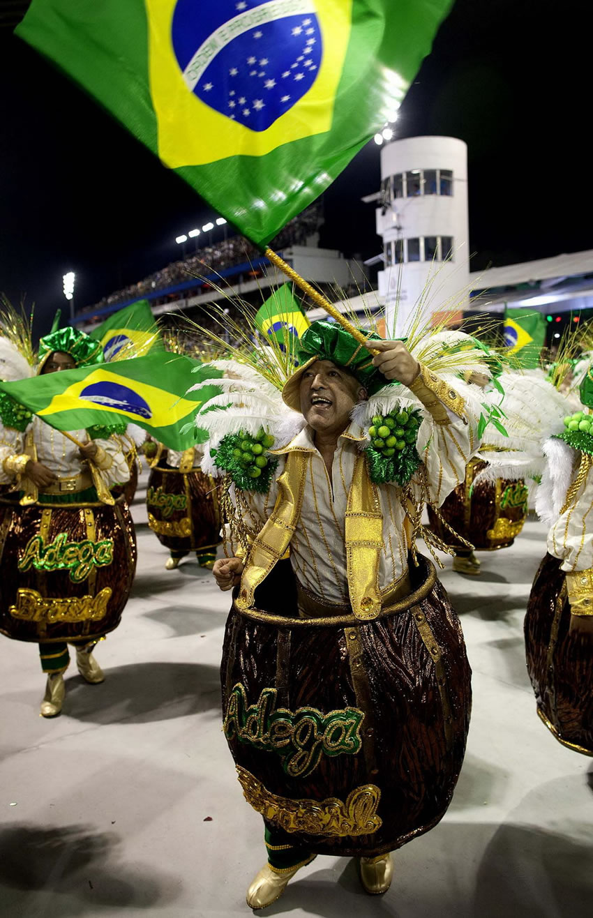Carnaval de Rio 2013 fotos (20)