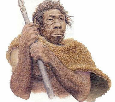 hominido