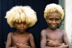 Rubios Negros Islas Salomon (7)