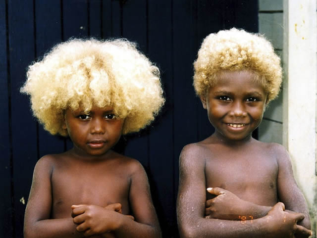 Rubios Negros Islas Salomon (7)