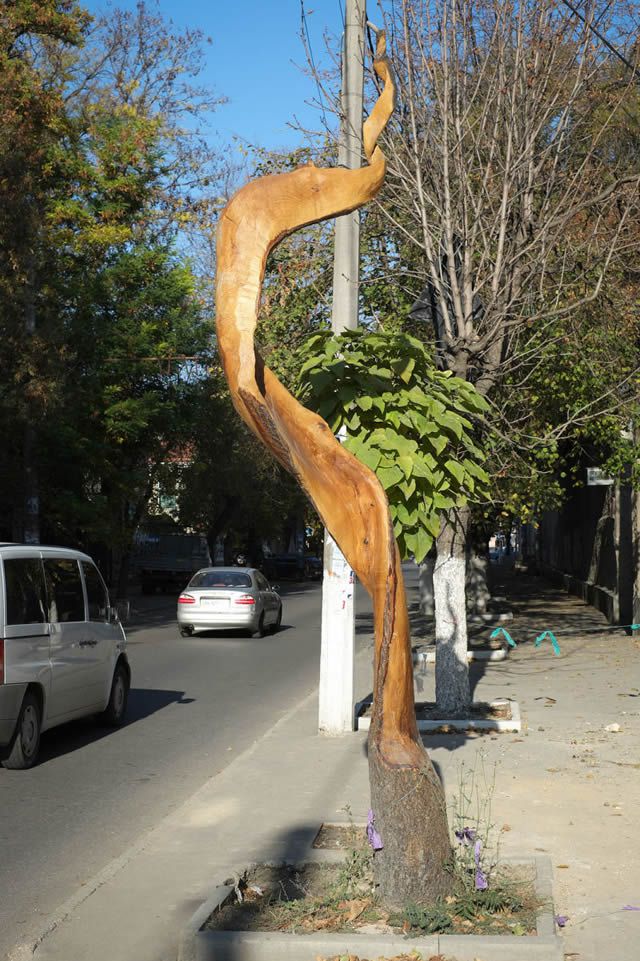 esculturas madera igor dzheknavarov (7)