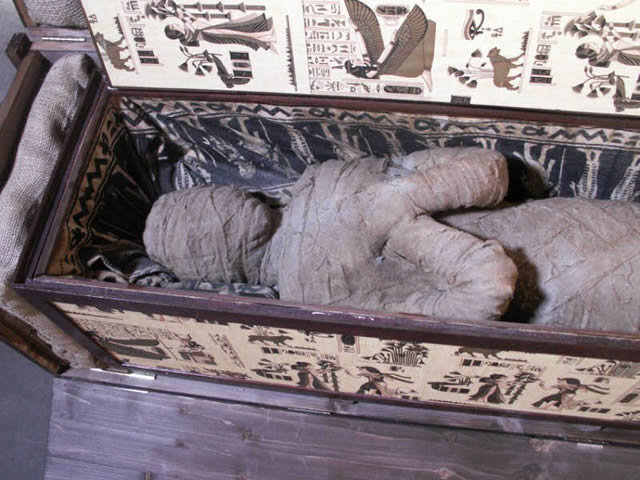 momia sotano abuela alemania (5)
