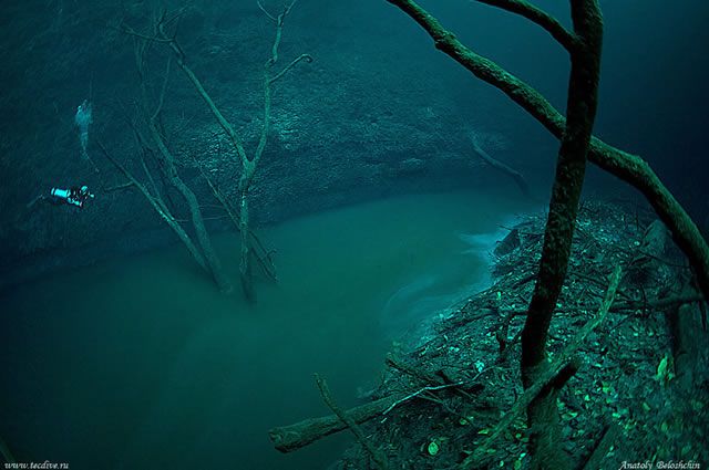 Cenote Angelita rio subterraneo (2)