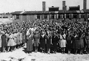 Mujeres del campo de judías húngaras