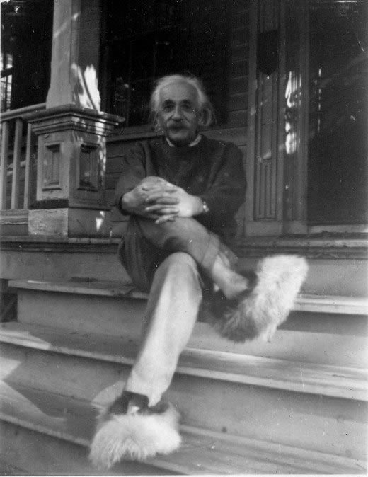 Albert Einstein pantuflas