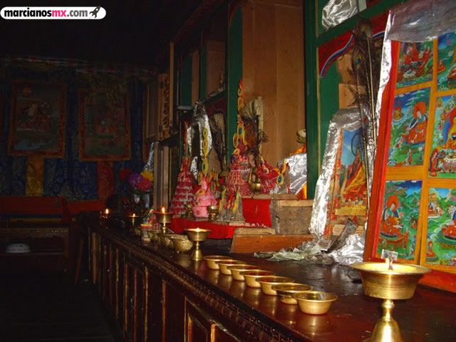 Funeral Bebés Arboles Tibet (8)