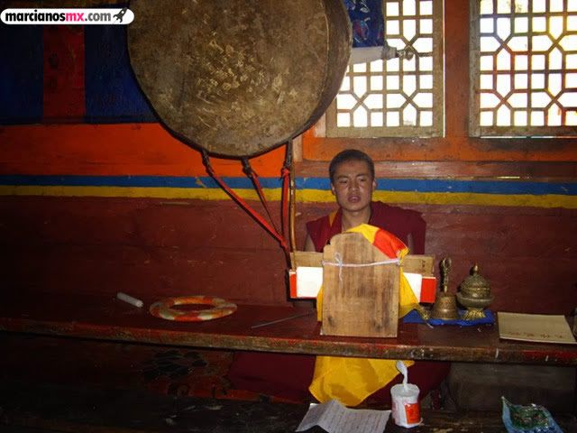 Funeral Bebés Arboles Tibet (29)