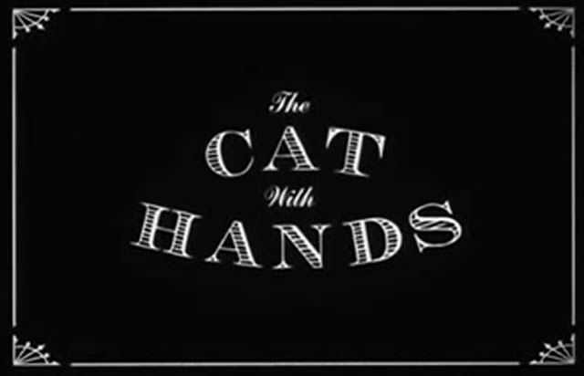 gato con manos corto (1)