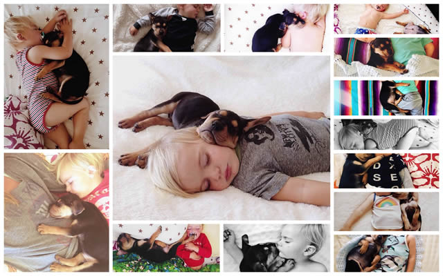 Madre registra momentos adorables de la siesta de su hijo y su perro