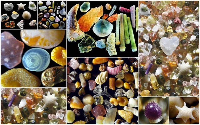 Granos de arena bajo el microscopio por Gary Greenberg 
