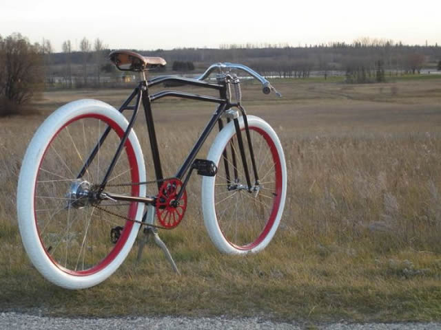 Bicicleta Personalizada (18)