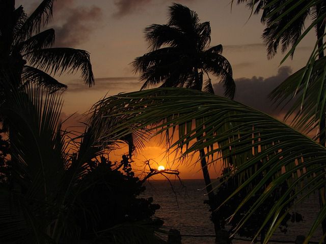 paisaje caribe
