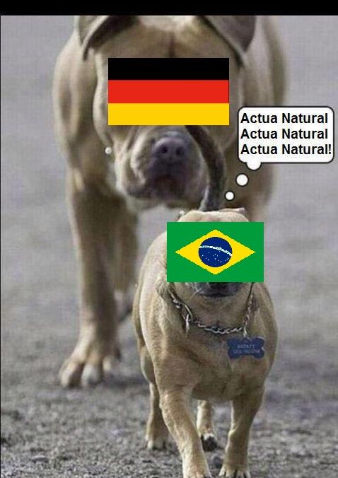 memes alemania brasil (14)