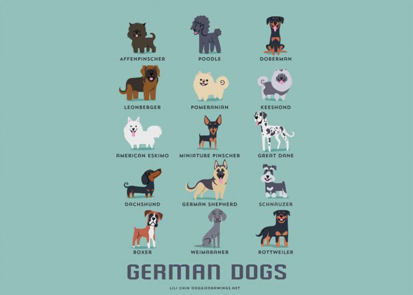 Razas de perros alemania