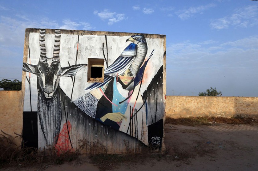 Djerbahood arte urbano túnez (14)