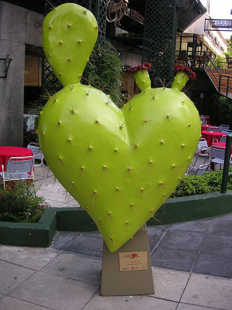 corazon cactus