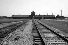 Auschwitz(1)