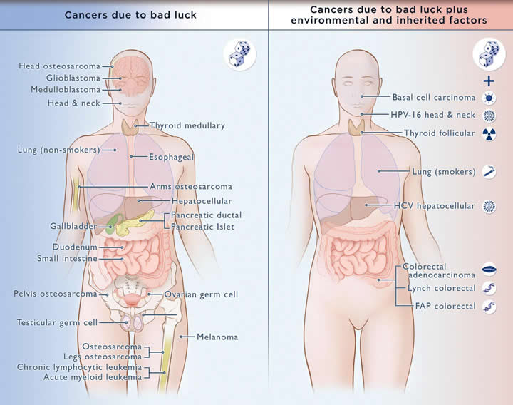 cancer mala suerte y otros factores