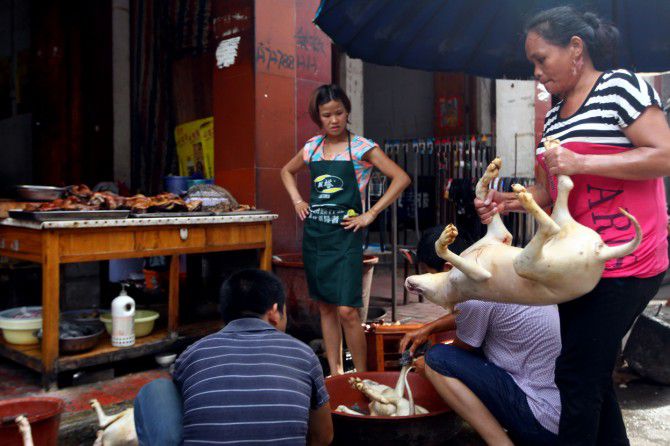 carne de perro en china (4)