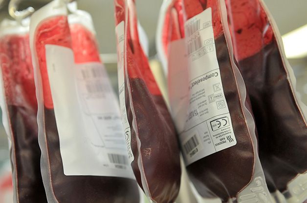 donadores de sangre suecia (1)