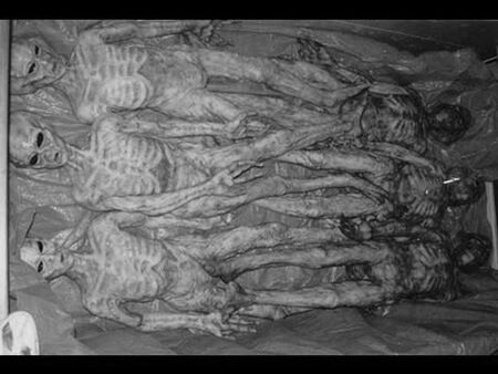 extraterrestres muertos Carolinas 1941